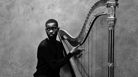 Dave The Boy Who Played The Harp